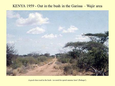 KENYA 1959 - Out in the bush in the Garissa – Wajir area A good-class road in the bush – no need for speed cameras here! (Perhaps!).