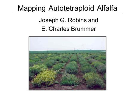 Mapping Autotetraploid Alfalfa Joseph G. Robins and E. Charles Brummer.