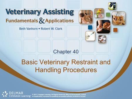 Basic Veterinary Restraint and Handling Procedures