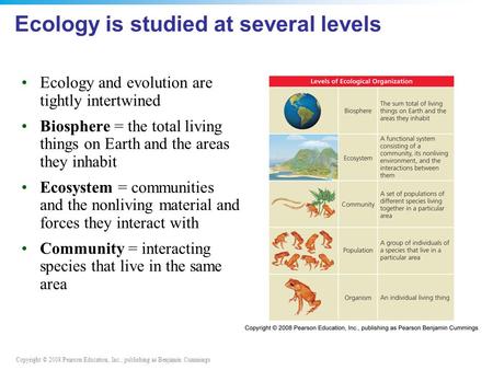 Ecology is studied at several levels