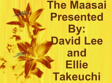 The Maasai Presented By: David Lee and Ellie Takeuchi.