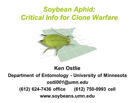 Ken Ostlie Department of Entomology - University of Minnesota (612) 624-7436 office(612) 750-0993 cell  Soybean Aphid: