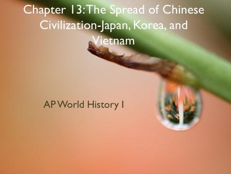 Chapter 13: The Spread of Chinese Civilization-Japan, Korea, and Vietnam AP World History I.