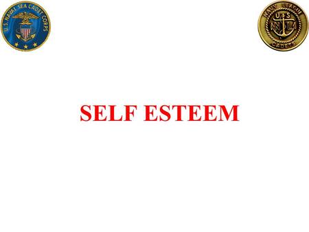 SELF ESTEEM. Self Esteem What is Self Esteem ? –Self esteem is the opinion you have of yourself. It is based on your attitude to the following: Your value.