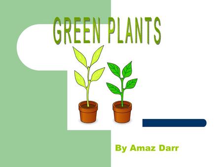 By Amaz Darr. L= Light Green plants need light to grow well. If they are grown in the dark, they do not get any light for photosynthesis, this reduces.