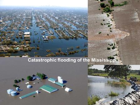 Catastrophic flooding of the Mississippi. Rivers and floodplains.