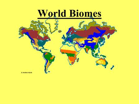 World Biomes.  Tropical Rainforest Location: Found near equator…little variation in temperatures. No.