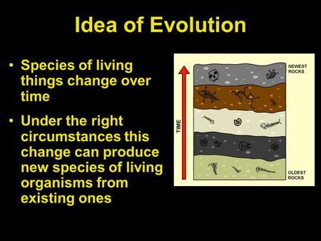 Idea of Evolution Species of living things change over time Under the right circumstances this change can produce new species of living organisms from.