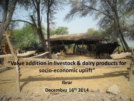 “Value addition in livestock & dairy products for socio-economic uplift“ Ibrar December 16 th 2014.