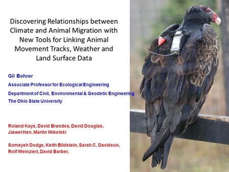 Discovering Relationships between Climate and Animal Migration with New Tools for Linking Animal Movement Tracks, Weather and Land Surface Data Gil Bohrer.