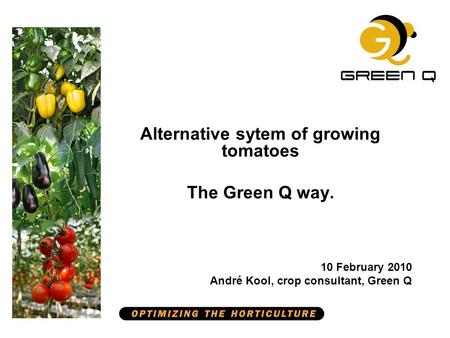 Alternative sytem of growing tomatoes