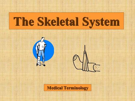 The Skeletal System Medical Terminology.