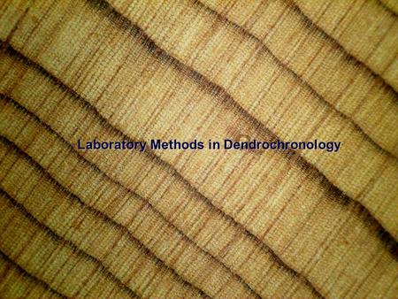 Laboratory Methods in Dendrochronology. Now, let’s take our wood samples back to the laboratory:Now, let’s take our wood samples back to the laboratory: