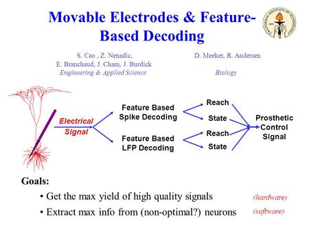 Movable Electrodes & Feature- Based Decoding S. Cao, Z. Nenadic, D. Meeker, R. Andersen E. Branchaud, J. Cham, J. Burdick Engineering & Applied Science.