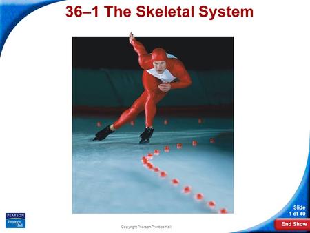 End Show Slide 1 of 40 Copyright Pearson Prentice Hall 36–1 The Skeletal System.