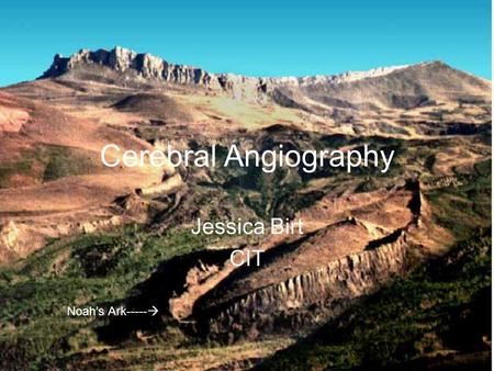 Cerebral Angiography Jessica Birt CIT Noah’s Ark----- 