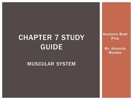 Anatomy Bowl Prep By: Amanda Morden CHAPTER 7 STUDY GUIDE MUSCULAR SYSTEM.