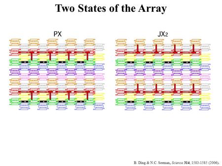 Two States of the Array B. Ding & N.C. Seeman, Science 314, 1583-1585 (2006).