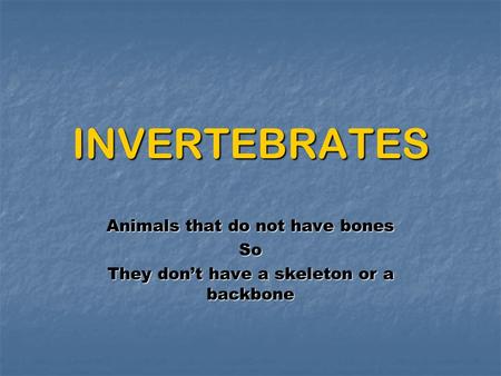 INVERTEBRATES Animals that do not have bones So They don’t have a skeleton or a backbone.