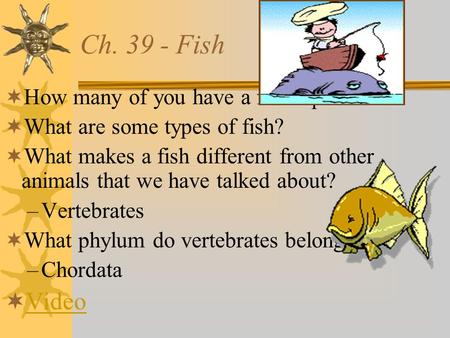 Ch. 39 - Fish  How many of you have a fish aquarium?  What are some types of fish?  What makes a fish different from other animals that we have talked.