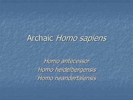 Archaic Homo sapiens Homo antecessor Homo heidelbergensis Homo neandertalensis.