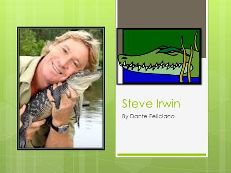 Steve Irwin By Dante Feliciano. Early life Stephen Robert “Steve” Irwin was born on February 22, 1962 on a suburb of Essendon, Victoria (Australia). Both.