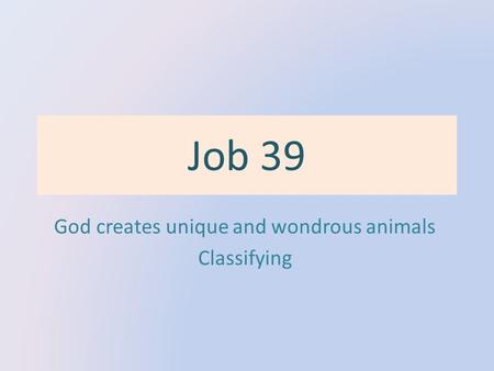 Job 39 God creates unique and wondrous animals Classifying.