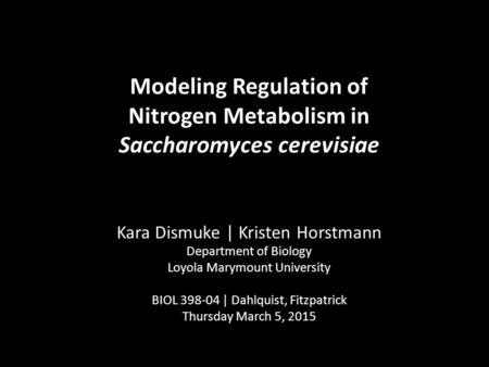 Modeling Regulation of Nitrogen Metabolism in Saccharomyces cerevisiae Kara Dismuke | Kristen Horstmann Department of Biology Loyola Marymount University.