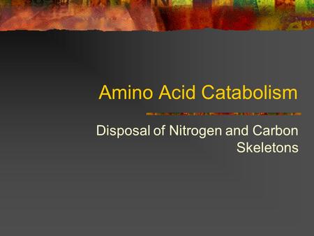 Disposal of Nitrogen and Carbon Skeletons