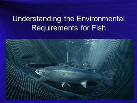 Understanding the Environmental Requirements for Fish.