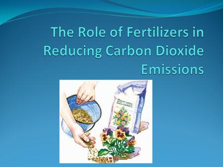 Climate Planner News Letter (http://www.mfpp.org/issue.html) Fertilizers reduce the amount of deforestation by increasing efficiency of land use.