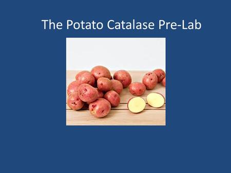 The Potato Catalase Pre-Lab. 100 g of potato were cut into small chunks Potato Catalase Experiment.