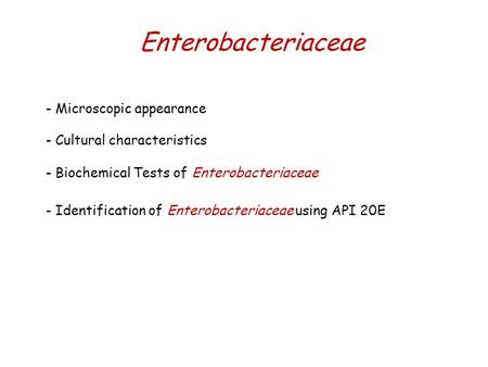 Enterobacteriaceae - Microscopic appearance - Cultural characteristics