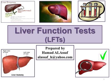 Liver Function Tests (LFTs)