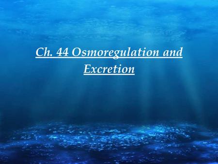 Ch. 44 Osmoregulation and Excretion