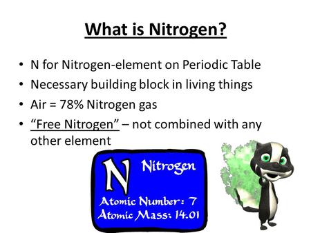 What is Nitrogen? N for Nitrogen-element on Periodic Table Necessary building block in living things Air = 78% Nitrogen gas “Free Nitrogen” – not combined.