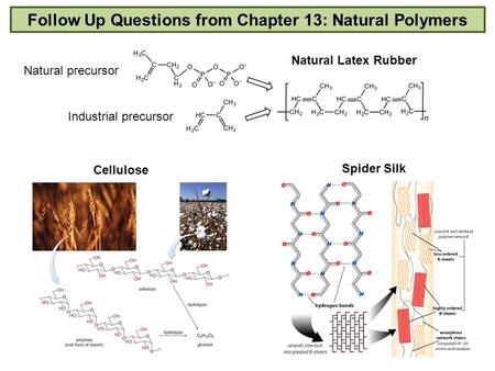 Follow Up Questions from Chapter 13: Natural Polymers Cellulose Spider Silk Natural Latex Rubber Natural precursor Industrial precursor.