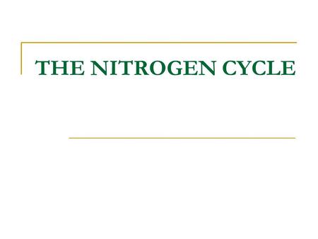 THE NITROGEN CYCLE. Nitrates are essential for plant growth Root uptake Nitrate NO 3 - Plant protein © 2008 Paul Billiet ODWSODWS.