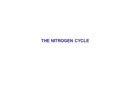 THE NITROGEN CYCLE. TOPICS FOR TODAY 1.The Nitrogen Cycle 2.Fixed Nitrogen in the Atmosphere 3.Sources of NOx 4.What about N 2 O? 5.Nitrogen Cycle: on.
