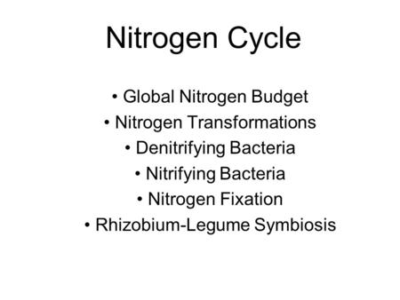 Nitrogen Cycle Global Nitrogen Budget Nitrogen Transformations Denitrifying Bacteria Nitrifying Bacteria Nitrogen Fixation Rhizobium-Legume Symbiosis.