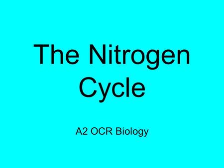 The Nitrogen Cycle A2 OCR Biology Asking questions is a sign of INTELLIGENCE Unfortunately all questions must wait until the end of the lecture.
