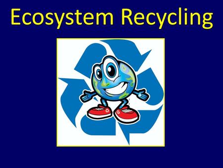 Ecosystem Recycling. Essential Standard 2.1 Analyze the interdependence of living organisms within their environments Clarifying Objective 2.1.1 Analyze.
