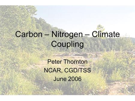Carbon – Nitrogen – Climate Coupling Peter Thornton NCAR, CGD/TSS June 2006.
