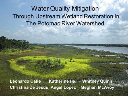 Water Quality Mitigation Through Upstream Wetland Restoration In The Potomac River Watershed Leonardo Calle Katherine He Whitney Quinn Christina De Jesus.