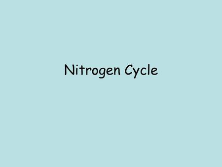 Nitrogen Cycle. Learning Intention: I can explain the stages of the nitrogen cycle Success Criteria; I can say why nitrogen is important I can take part.