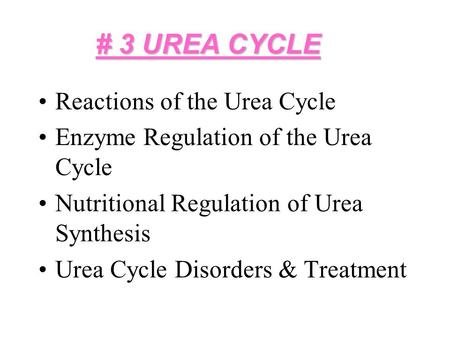 # 3 UREA CYCLE Reactions of the Urea Cycle Enzyme Regulation of the Urea Cycle Nutritional Regulation of Urea Synthesis Urea Cycle Disorders & Treatment.