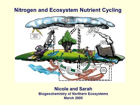 Nitrogen and Ecosystem Nutrient Cycling Nicole and Sarah Biogeochemistry of Northern Ecosystems March 2005.