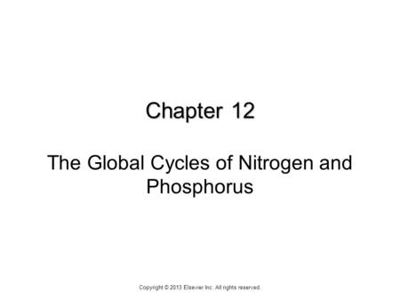 Chapter 12 Chapter 12 The Global Cycles of Nitrogen and Phosphorus Copyright © 2013 Elsevier Inc. All rights reserved.
