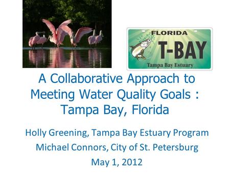 A Collaborative Approach to Meeting Water Quality Goals : Tampa Bay, Florida Holly Greening, Tampa Bay Estuary Program Michael Connors, City of St. Petersburg.