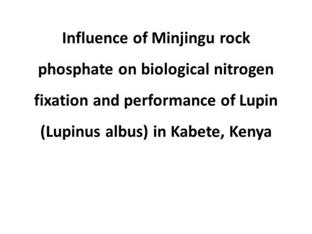 Influence of Minjingu rock phosphate on biological nitrogen fixation and performance of Lupin (Lupinus albus) in Kabete, Kenya.